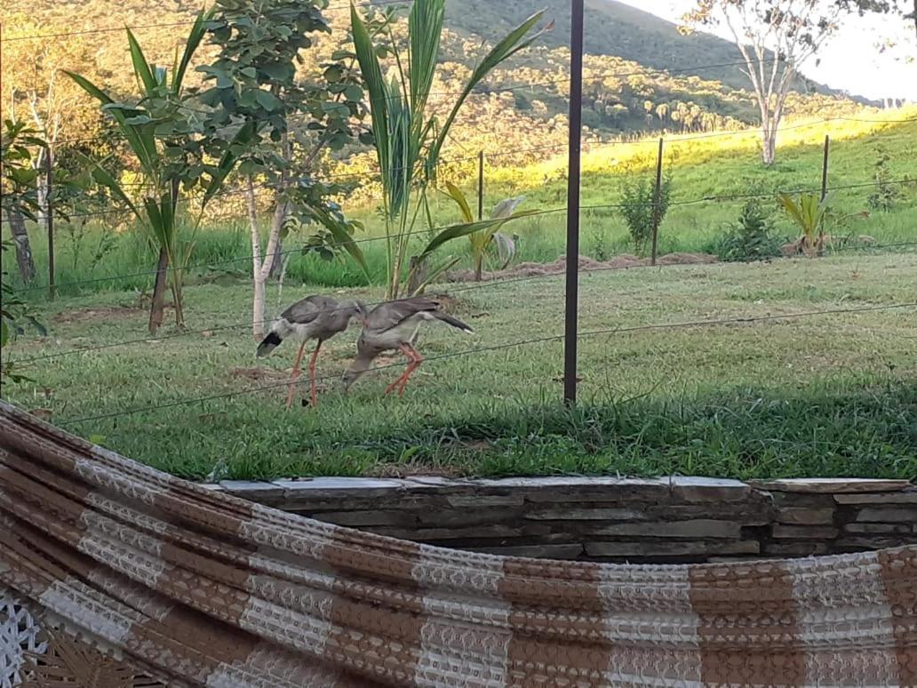 Fazenda Taruma Pirenópolis Kültér fotó