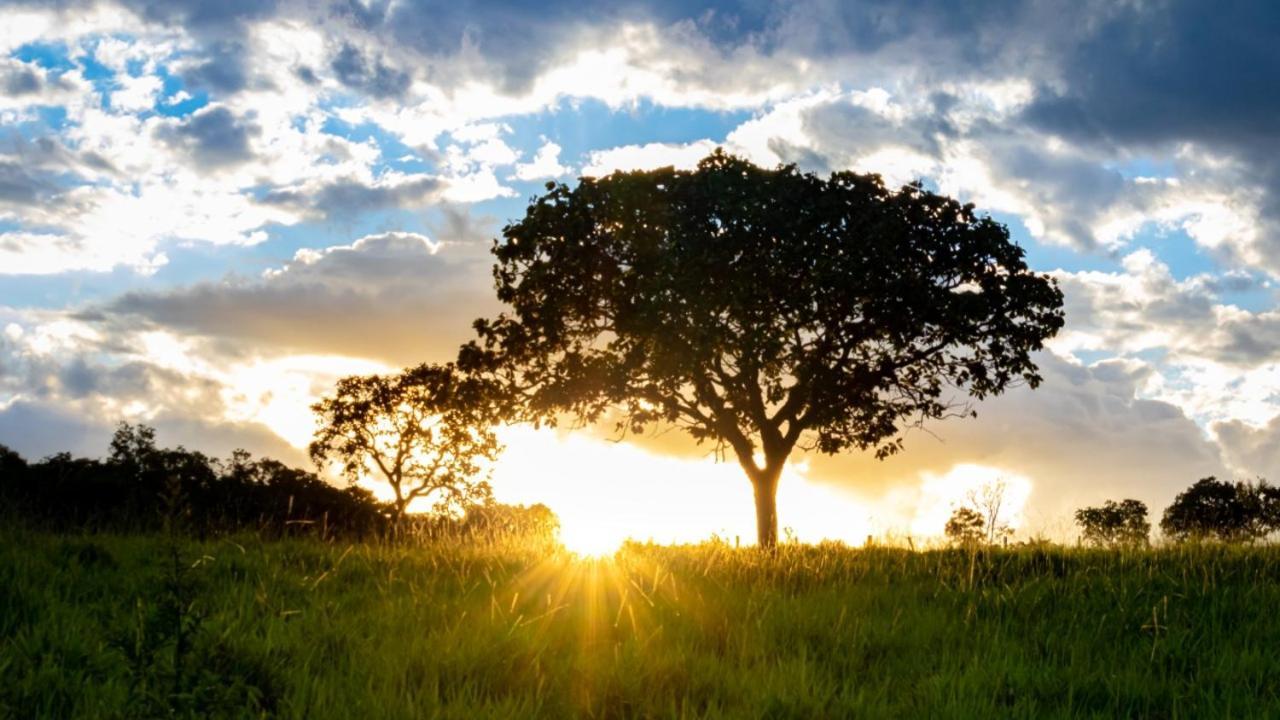 Fazenda Taruma Pirenópolis Kültér fotó